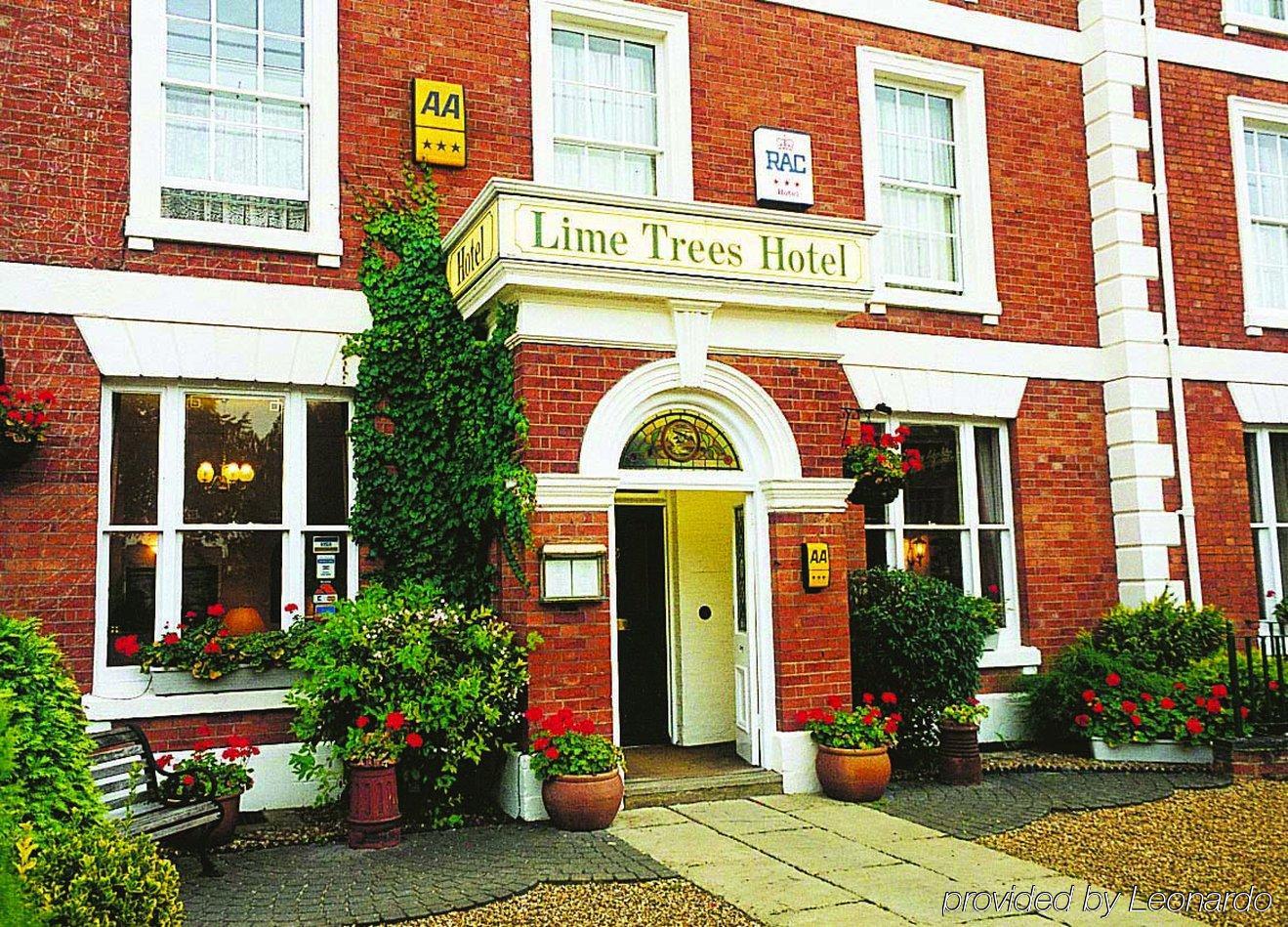 Lime Trees 3*
